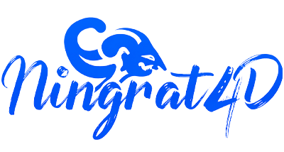 Logo NINGRAT4D